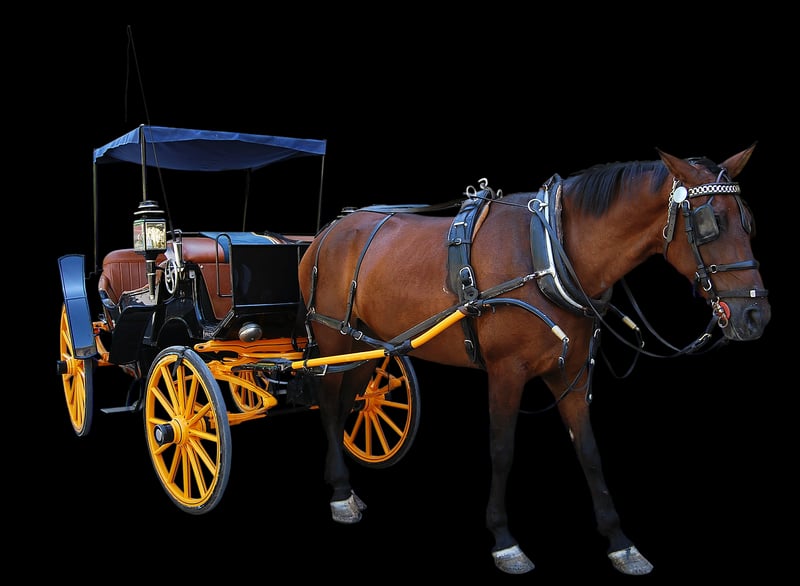 Horse-Drawn Carriage